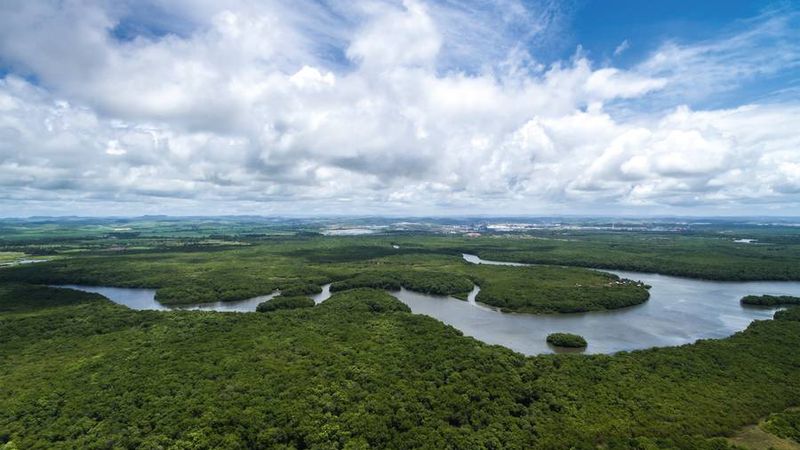Amazonas-Landschaft