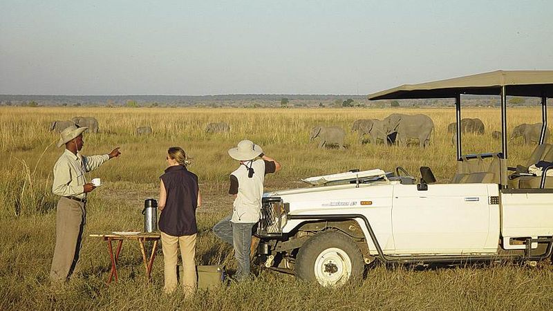 Auf Wildbeobachtung im Madikwe-Reservat