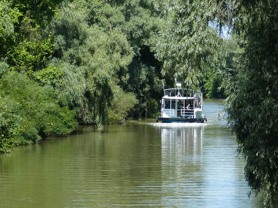 Naturoase Donaudelta mit Boot