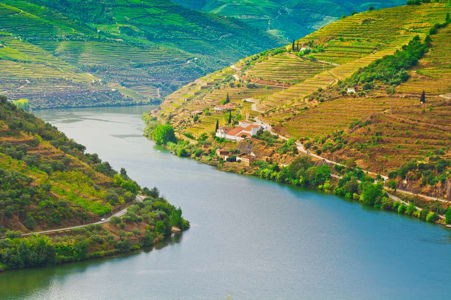Douro für Weinliebhaber