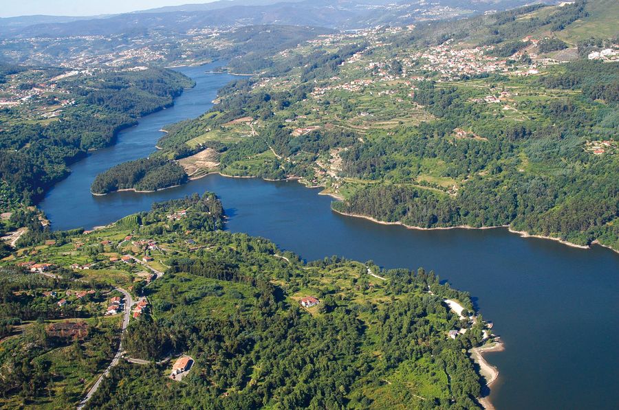 Natur erleben am Douro, Weinberge, Pflanzen