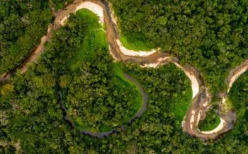 Amazonas