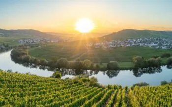 Mosel