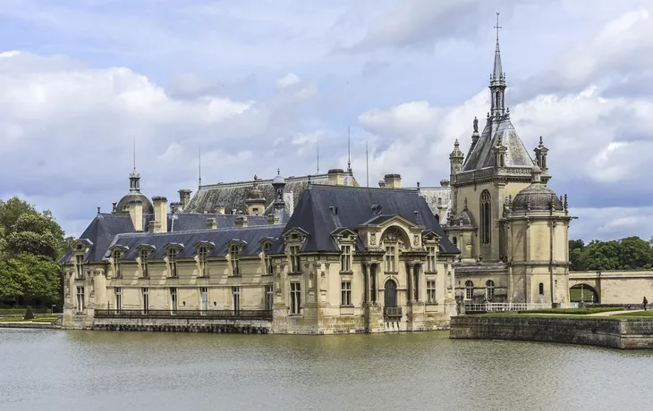 Leguan - © Uwe Bergwitz - stock.adobe.com