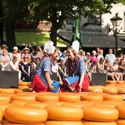 Käsemarkt Alkmaar