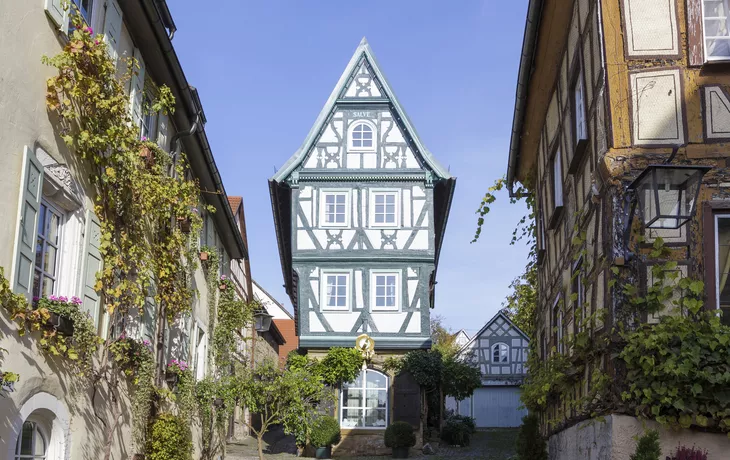 Reiterspiele in der ungarischen Puszta - © DH - Fotolia