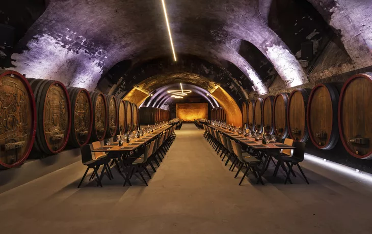 Nationalpark Kopački rit, Kroatien - © xbrchx - stock.adobe.com