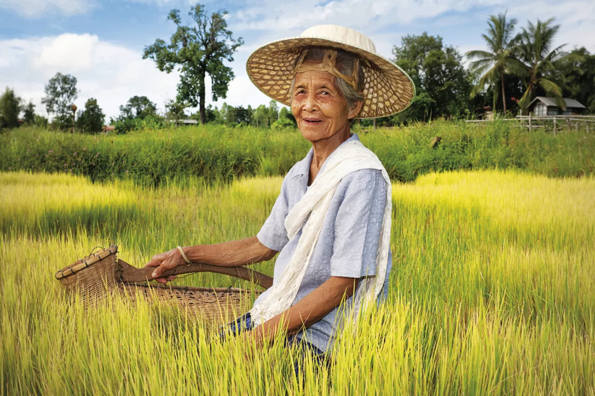 Stift Melk in der Wachau - ©dudlajzov - stock.adobe.com