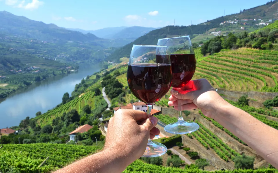 Weinberge im Duoro-Tal, Portugal - ©aproposx - stock.adobe.com