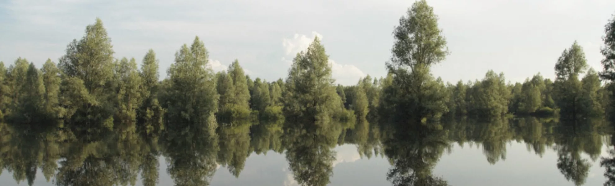 Landschaft Naturpark Kopacki rit