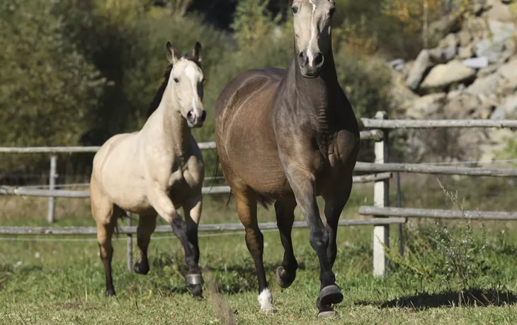 Altmühltal-Radweg bei Hilpoltstein - © Uwe - stock.adobe.com
