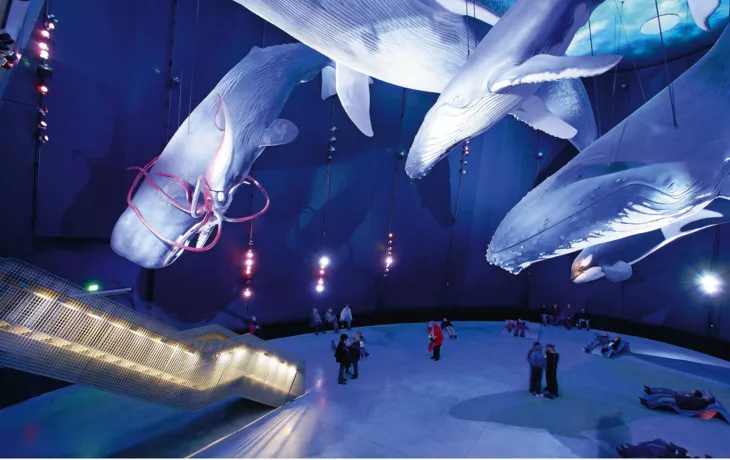 Victoria Régia oder Riesen Seerose - © F.C.G. - Fotolia