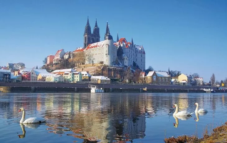 © LianeM - Fotolia - Meissen Albrechtsburg im Winter
