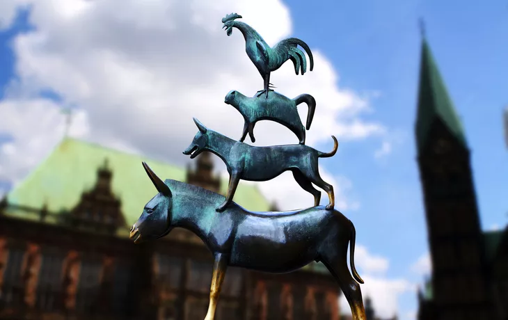 Zitronenbaum bei Sorrent - © rosariomanzo70 - Fotolia