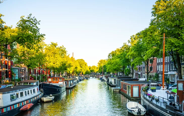 Blick vom Nil auf Luxor, Ägypten - ©olyasolodenko - stock.adobe.com