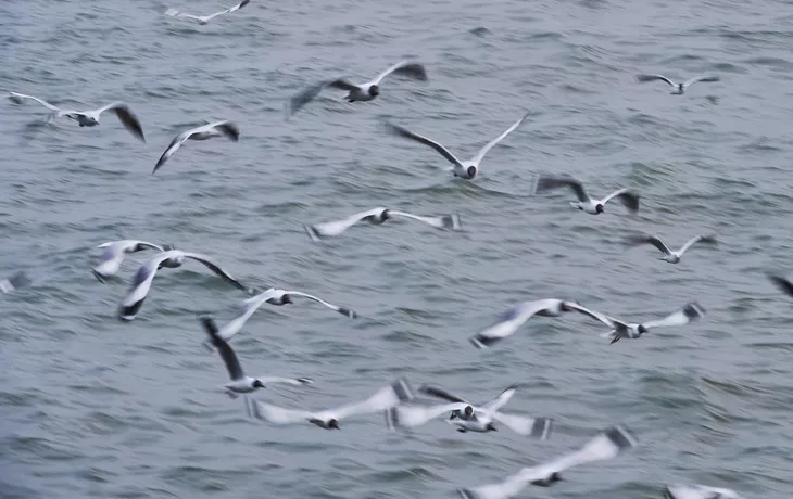 Frankfurt am Main - © This content is subject to copyright.