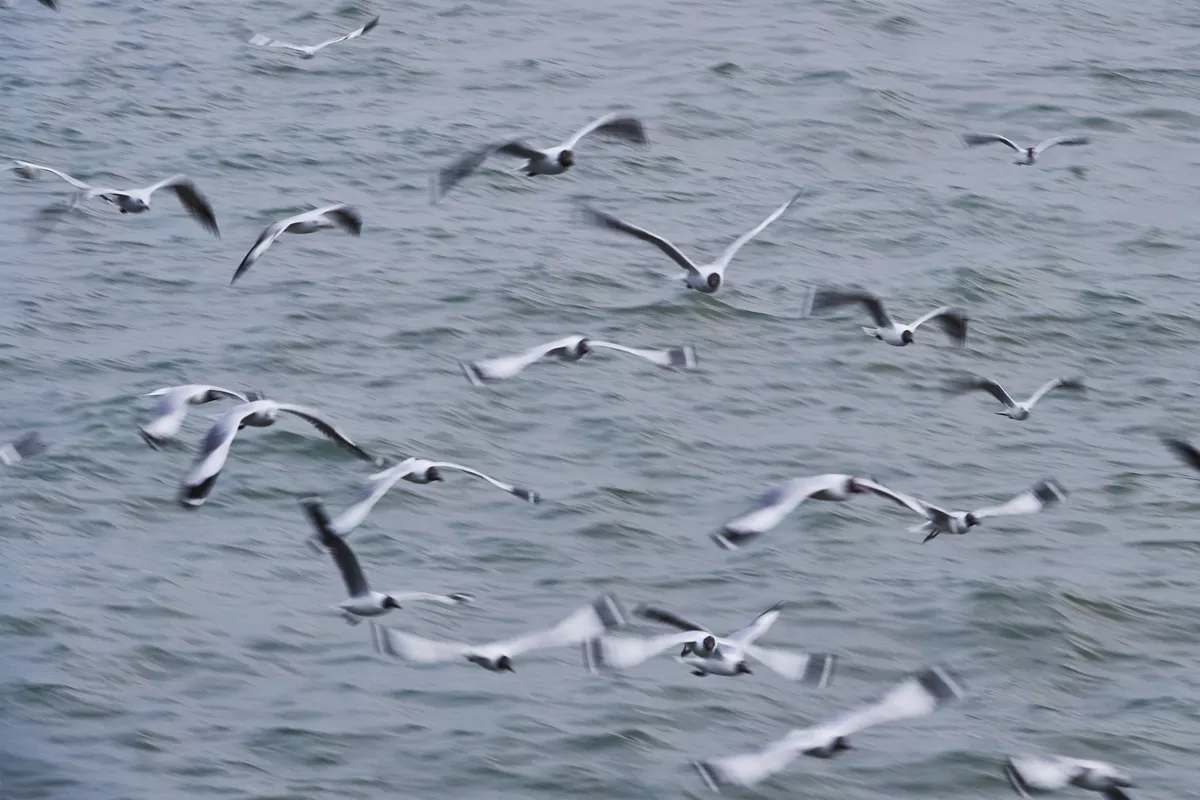 Frankfurt am Main - © This content is subject to copyright.