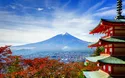 ©lkunl - stock.adobe.com