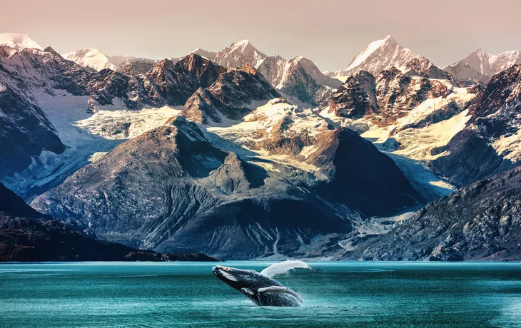 © Maridav - Alaska whale watching