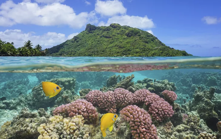 © Getty Images/iStockphoto - Französisch Polynesien