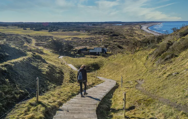 © Frank Bach - frank@frankix.dk - Nationalpark Thy
