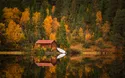 © Adrian - stock.adobe.com