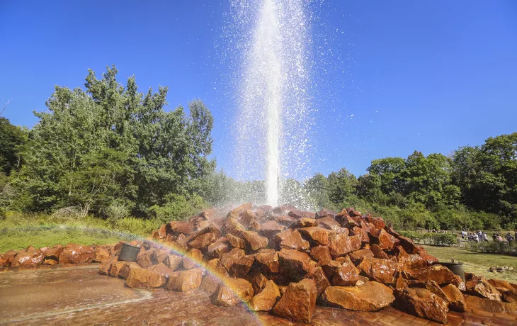 Geysir Andernach