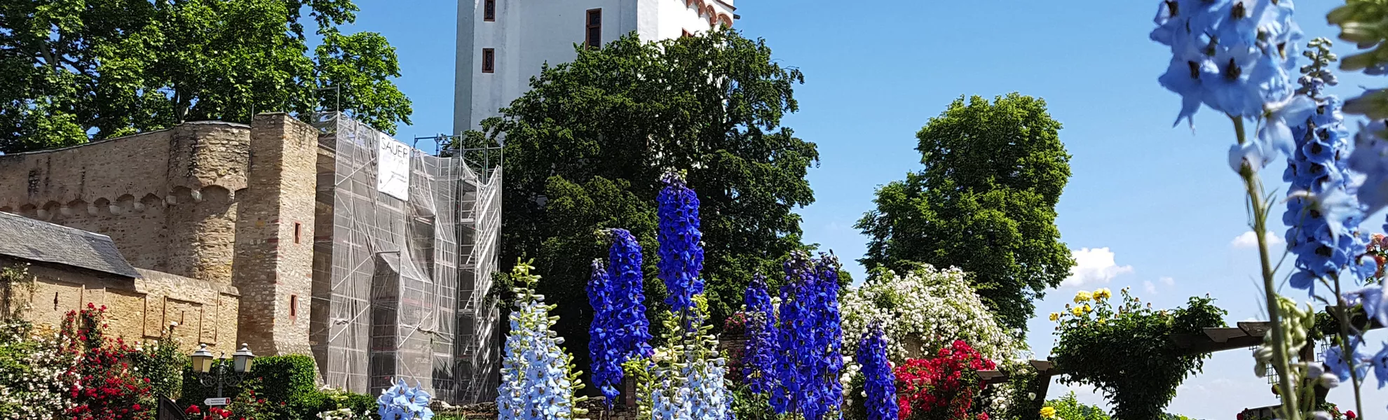 Burg Eltville - © Ruckszio - stock.adobe.com