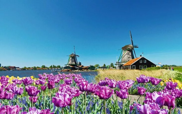 © Lsantilli - Fotolia - Windmühlen in Holland