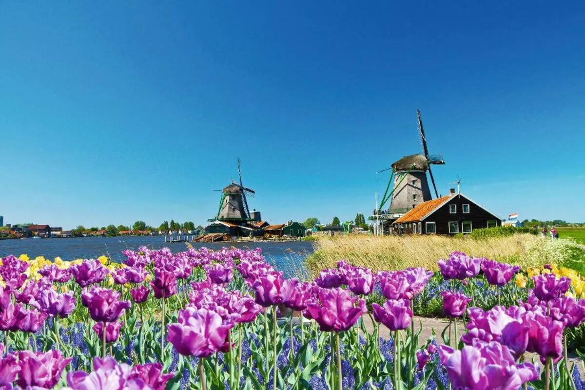 Windmühlen in Holland - © Lsantilli - Fotolia