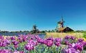 © Lsantilli - Fotolia