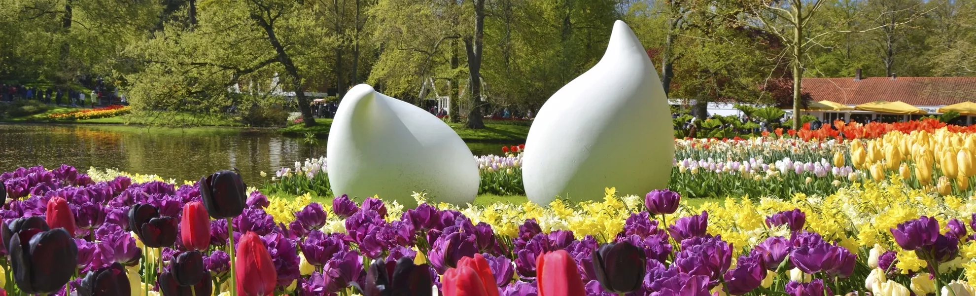 Keukenhof