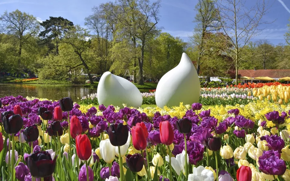 Keukenhof