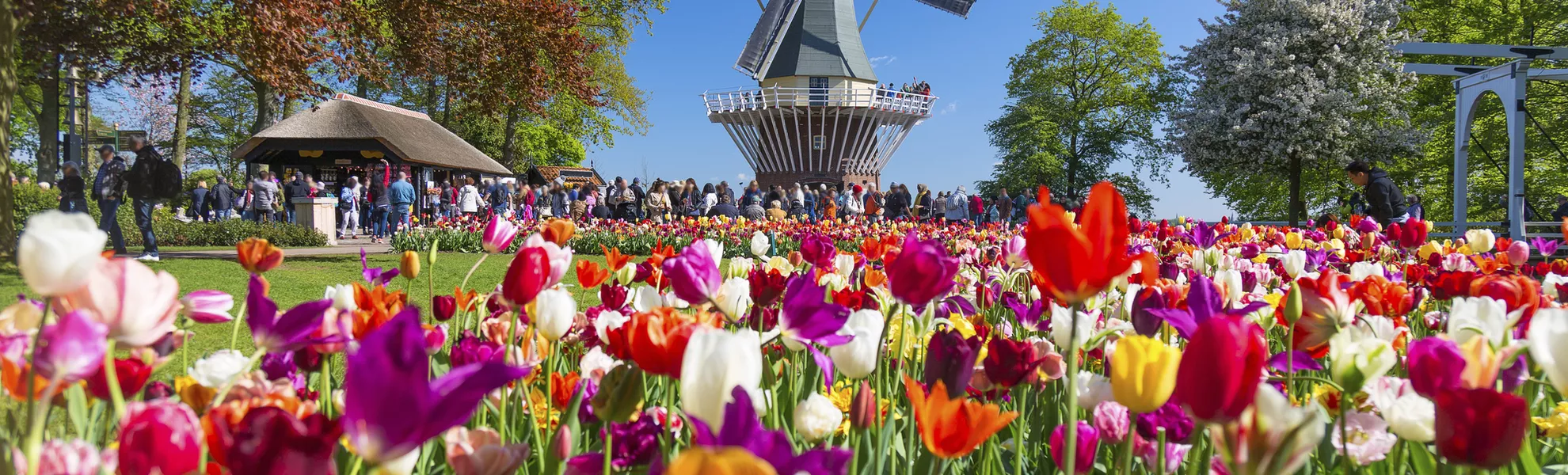 Keukenhof Keukenhof