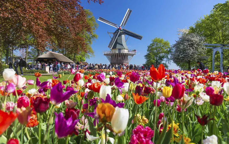 Keukenhof