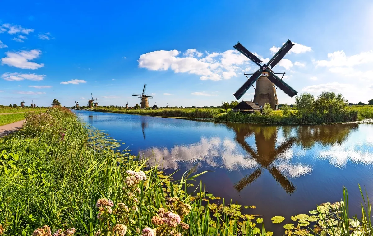 Kinderdijk in Südholland, Niederlande - © Sergii Figurnyi - stock.adobe.com