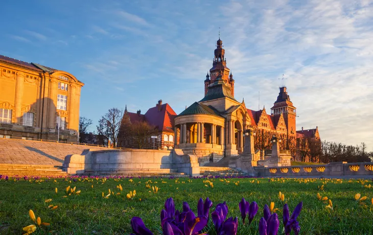 © Mike Mareen - stock.adobe.com - Krokusse blühen auf der Hakenterrasse in Stettin