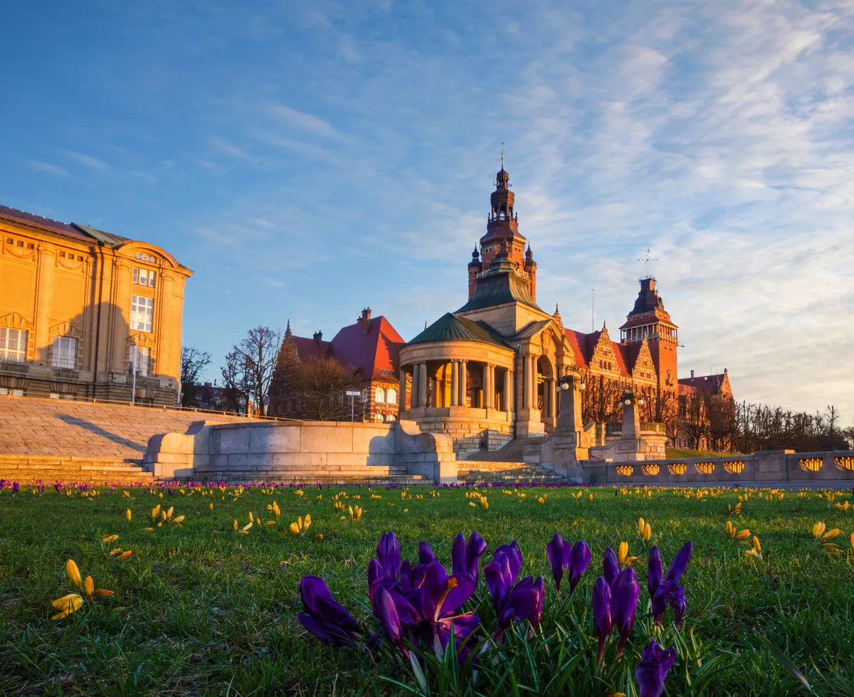 Krokusse blühen auf der Hakenterrasse in Stettin - © Mike Mareen - stock.adobe.com