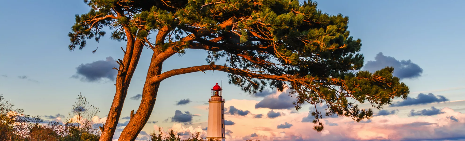 Leuchtturm Dornbusch auf der Insel Hiddensee  - © riebevonsehl - stock.adobe.com