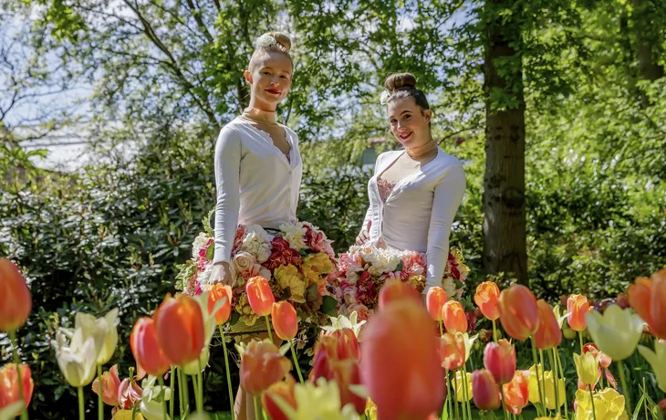 ©  - Keukenhof