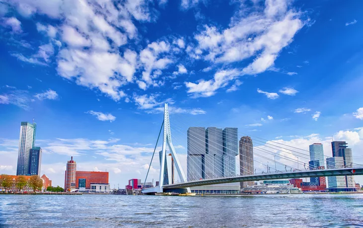 © danmorgan12 - stock.adobe.com - Erasmusbrücke (Schwanenbrücke) in Rotterdam