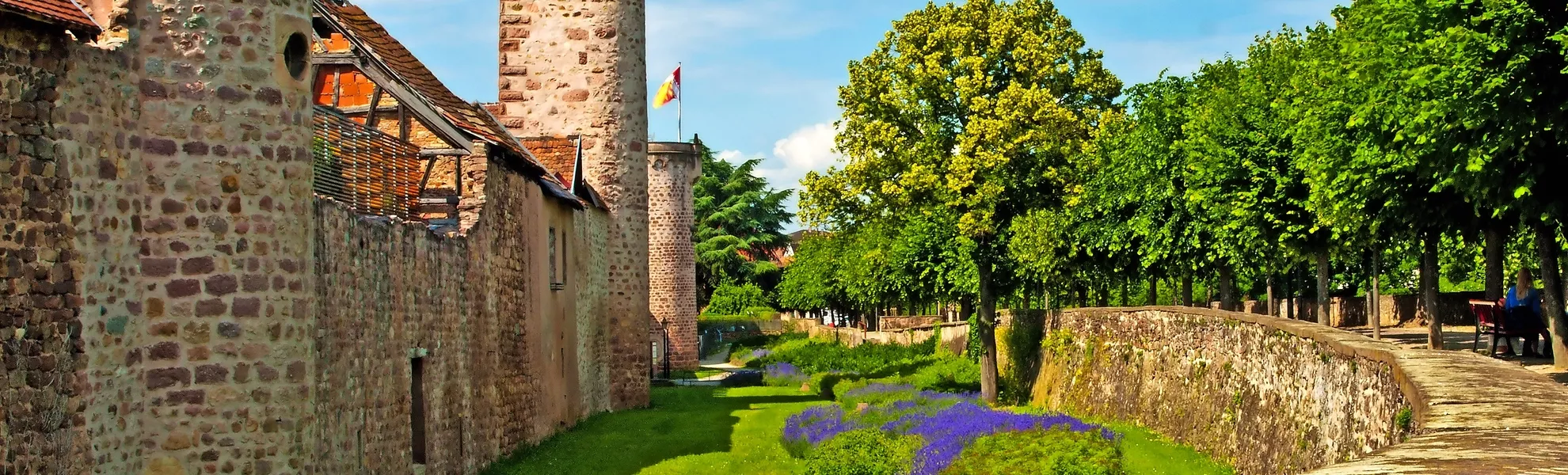Burg in Obernai, Elsass - © hjschneider - stock.adobe.com