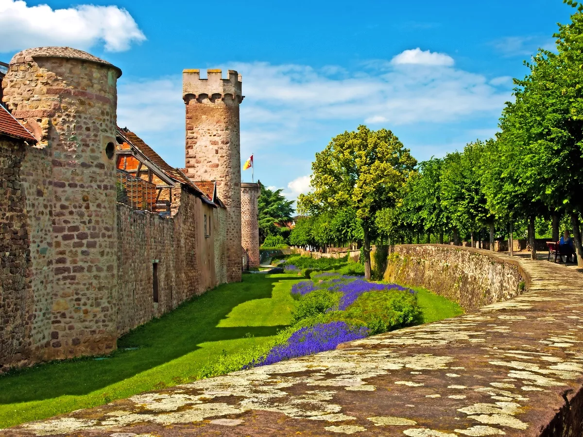 Burg in Obernai, Elsass - © hjschneider - stock.adobe.com
