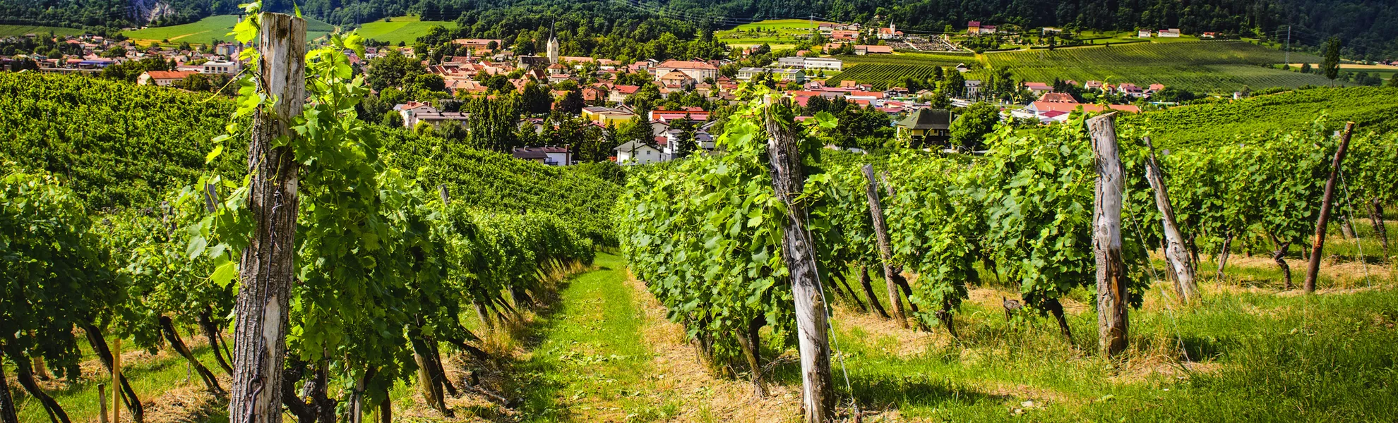 Slovenske Konjice - © asafaric - stock.adobe.com