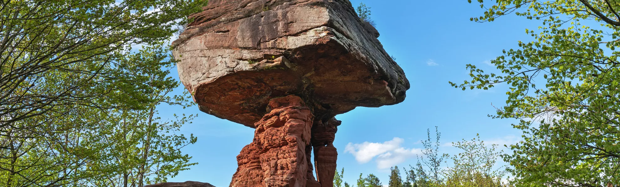Teufelstisch im Pfälzerwald, Deutschland - ©juhumbert - stock.adobe.com