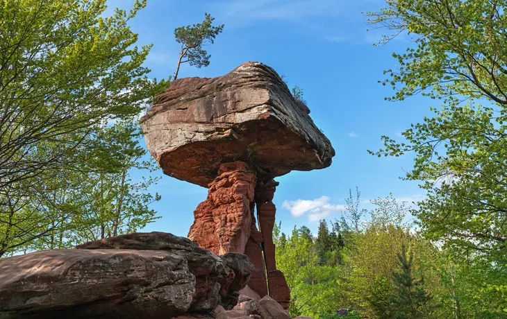 ©juhumbert - stock.adobe.com - Teufelstisch im Pfälzerwald, Deutschland