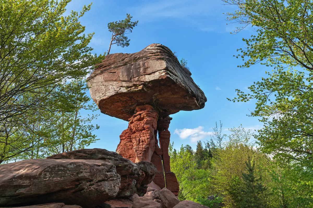 Teufelstisch im Pfälzerwald, Deutschland - ©juhumbert - stock.adobe.com