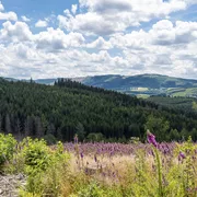 Hubertushöhe Cochem