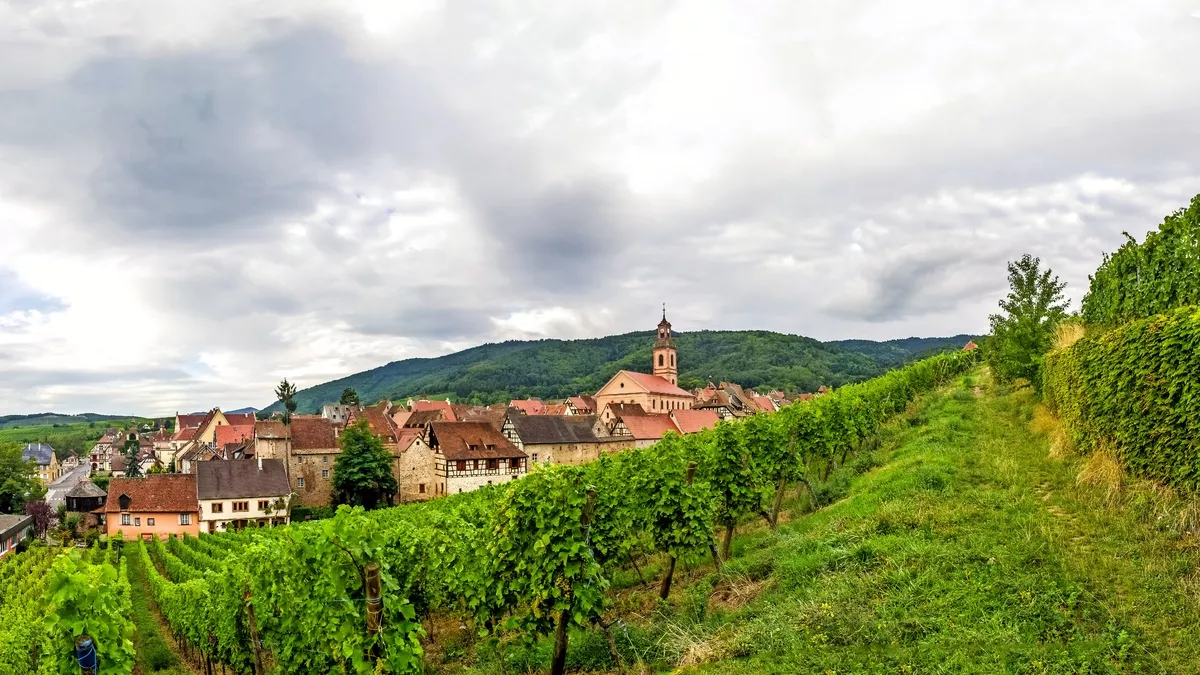 Weinberge im Elsass - © pure-life-pictures - stock.adobe