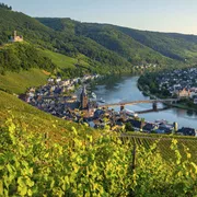Blick über Bernkastel